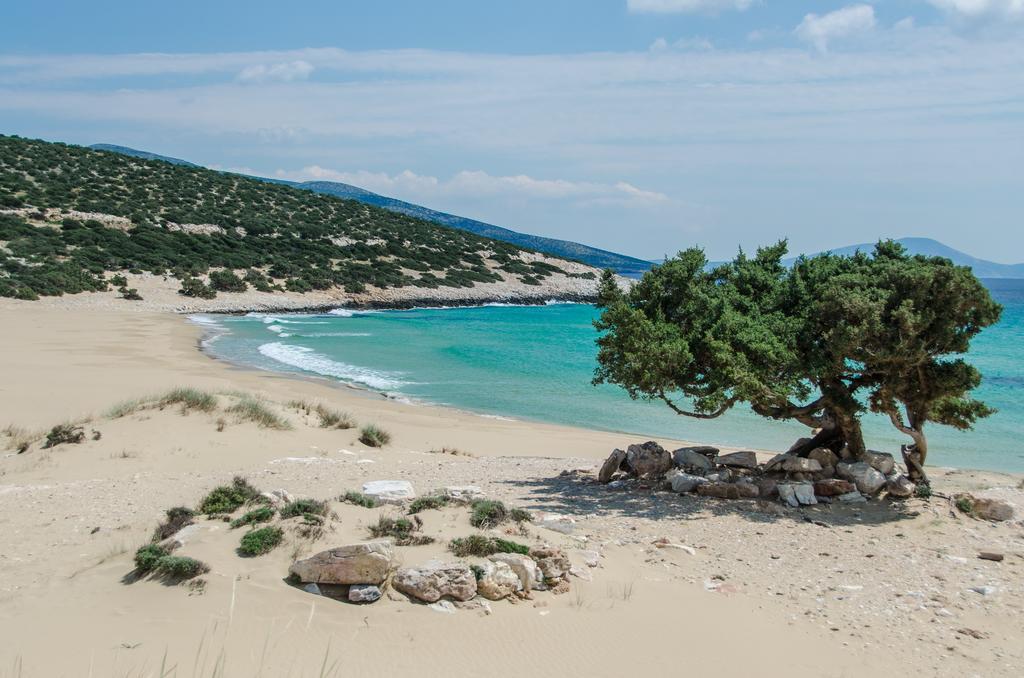Psili Ammos Studios Aliko Beach المظهر الخارجي الصورة